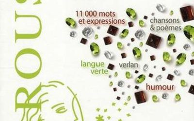 کتاب Dictionnaire du français argotique et populaire