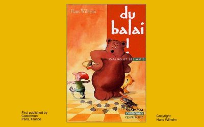 کتاب Du balai