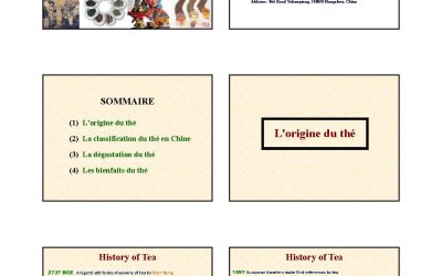 کتاب Le the en chine chen ping