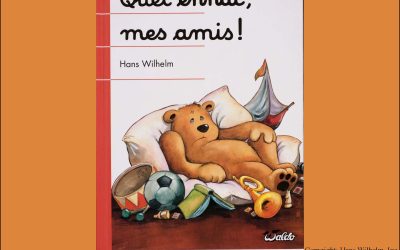 کتاب Quel ennuie mes amis